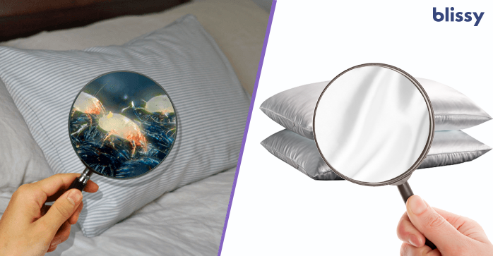 Blissy Silk Pillow Cover Review 2022 - Get A Better Sleep. 4 Blissy Silk Pillow Cover Review