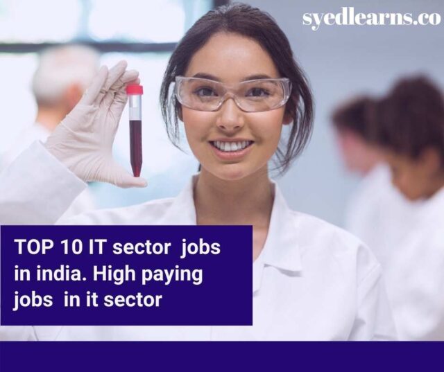 IT sector jobs, it sector jobs in govt, governament it sector jobs