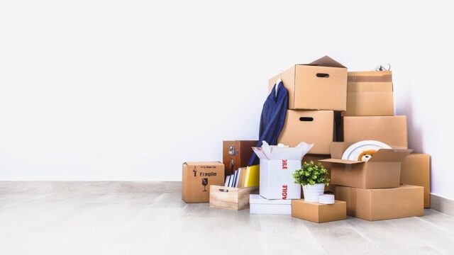 cardboard