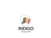 Indigo paints ipo grey market premium surges 50% Indigo paints ipo grey market