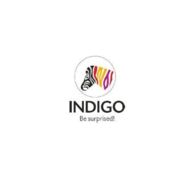 Indigo paints ipo grey market