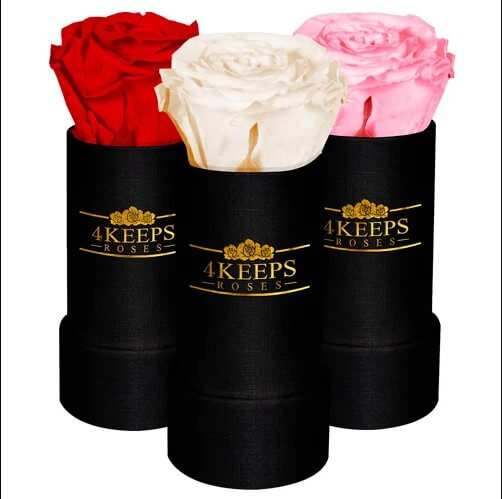 4Keeps Roses Review - Best Rose You Can Gift AnyBody 2 4Keeps Roses Review