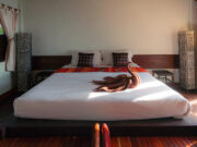 Miracle Sheets Review 2022 – The Best Bed Sheets You Can Use Miracle Sheets Review