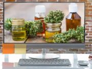 CBD Wholesale – Choosing the Right Product When Shopping CBD Wholesale – Choosing the Right Product When Shopping