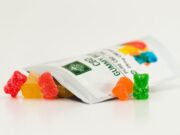 What Are The Ingredients Your Perfect CBD Gummies Should Have? CBD Gummies