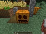 How to carve a Pumpkin In Minecraft – You Can Make carve a Pumpkin