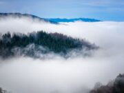 A brief guide on Steam Screenshot Folder Where to find steam screenshot folder