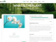 Best Plant Identifiers Online Best Plant Identifiers Online