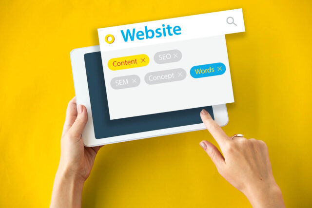 Business Website Builder Software