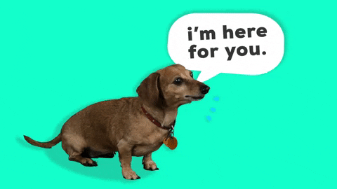 Is adding humor practical for your video marketing campaign? 2 Compassion and Empathy!