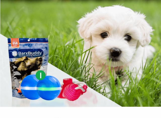 Barx BusyBall Review