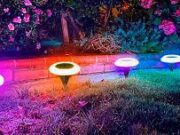 Colorize Review 2022 – Is This legit or Scam? Colorize Review