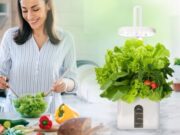 Dr Goodrow Mini Garden Review 2022 – Read This Before Buying. Dr Goodrow Mini Garden Review