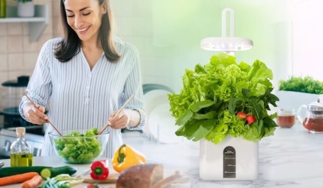 Dr Goodrow Mini Garden Review