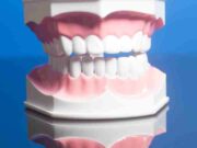 Best ways to know How Many Teeth Do Humans Have How Many Teeth Do Humans Have