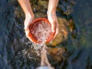 How many bottles of water is a gallon How many bottles of water is a gallon