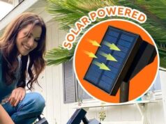 Solar Scape Review 2022 – Read This Before Buying. Solar Scape Review