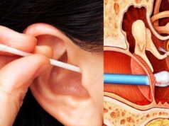 Tvidler Review 2022 – Scam or Legit? Read More Tvidler Review