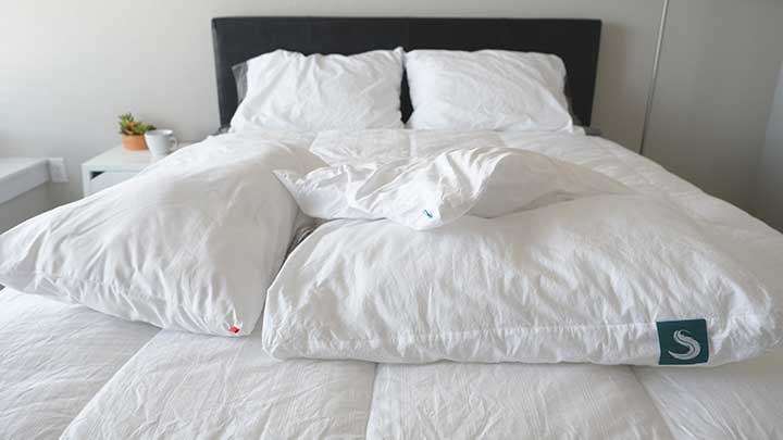 Sleep gram Pillows Reviews 1